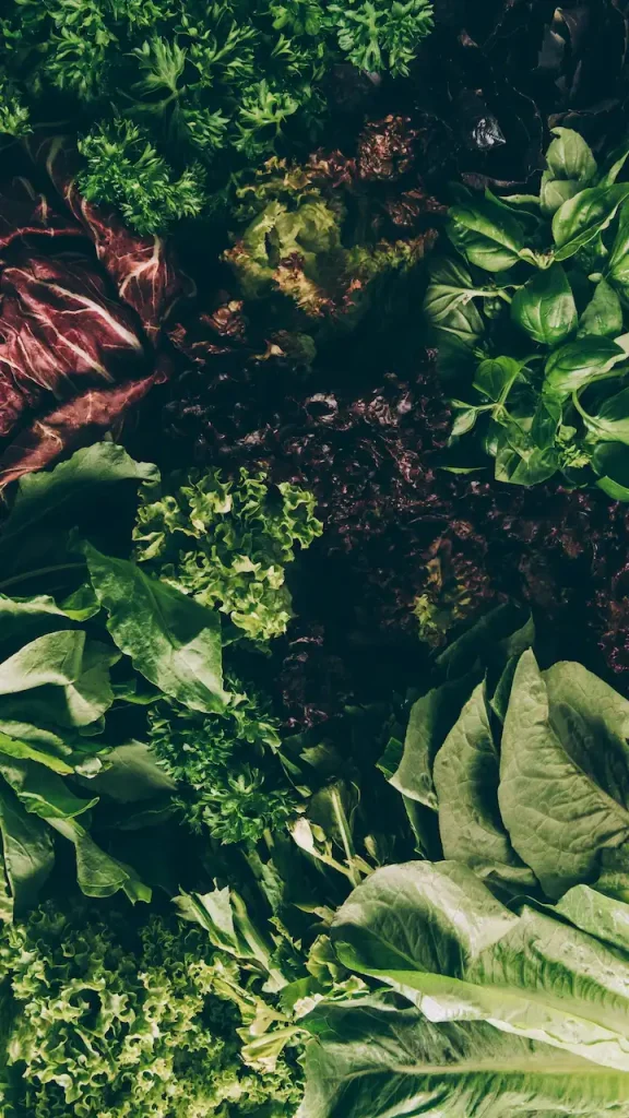 Eine Auswahl an verschiedenen Salaten und Gemüse