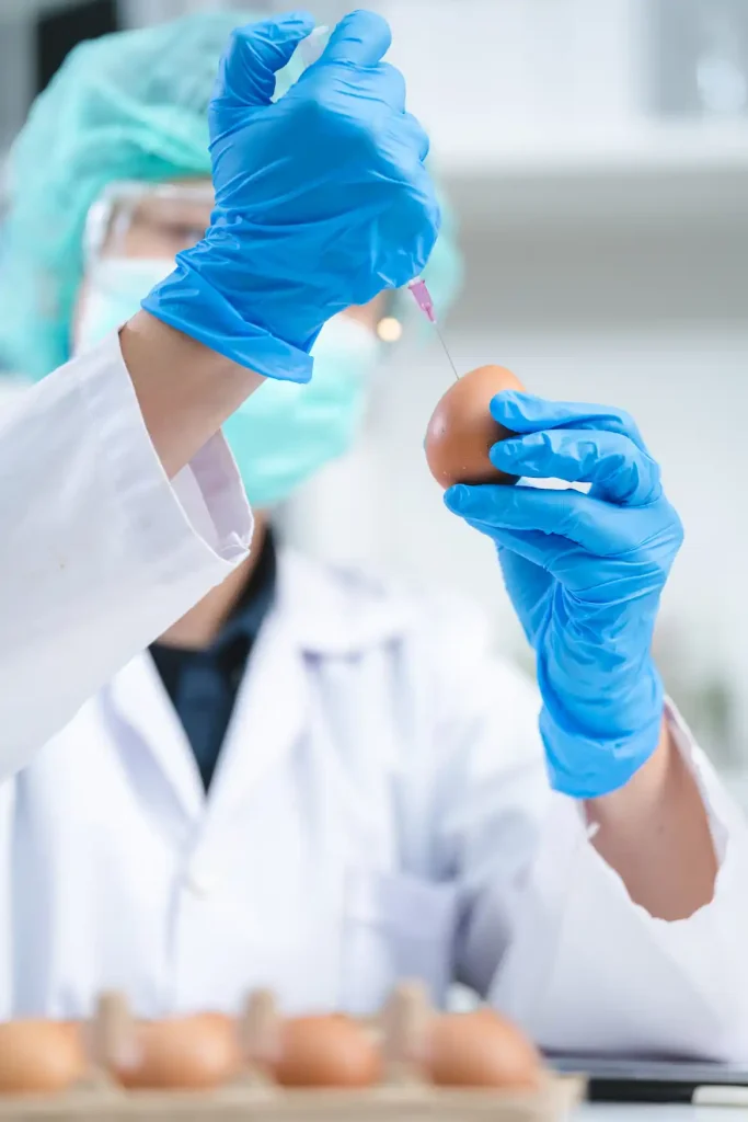 Eine Frau in Laborkleidung züchtet VIren in Eiern